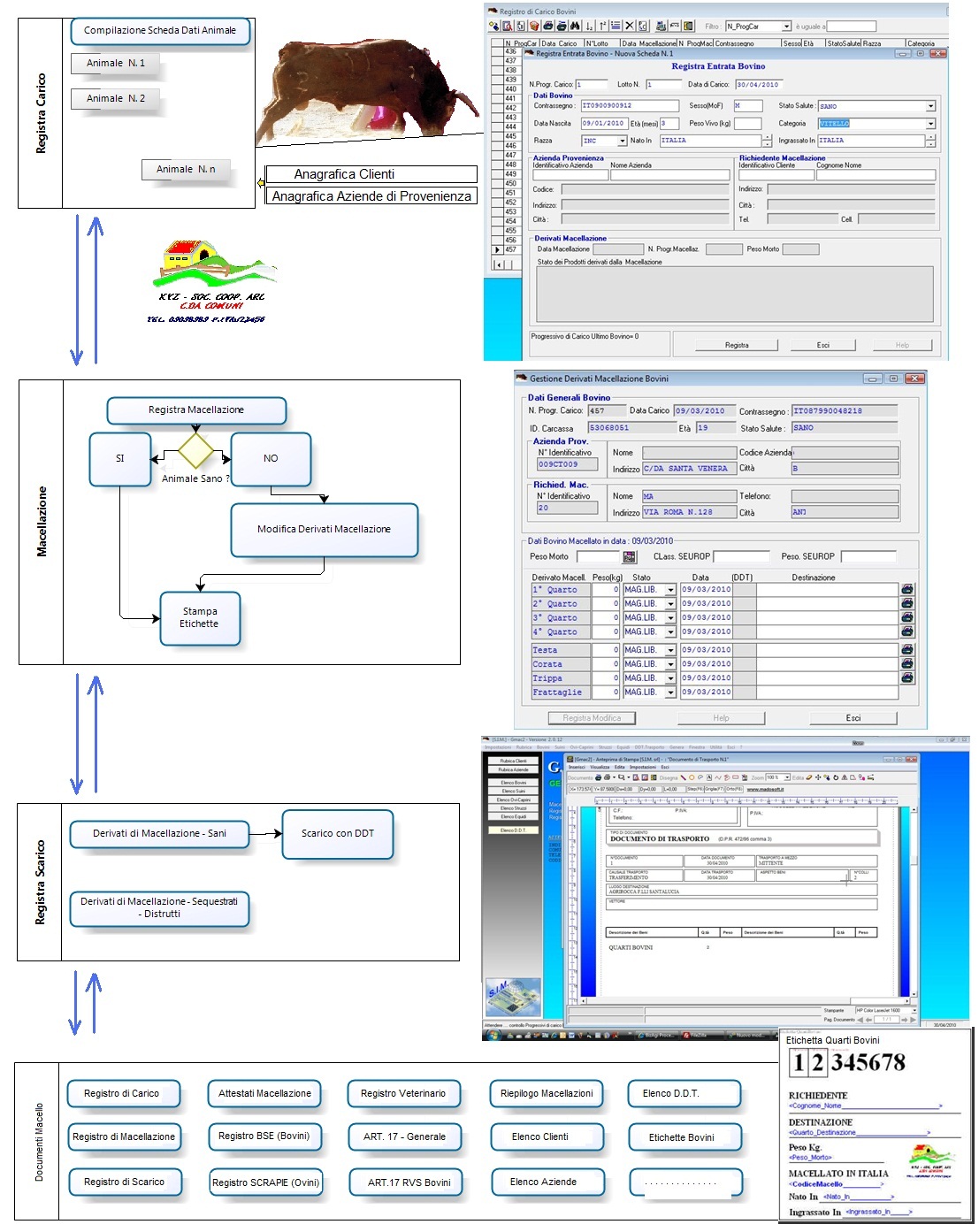 Diagramma Flusso Software Mac.